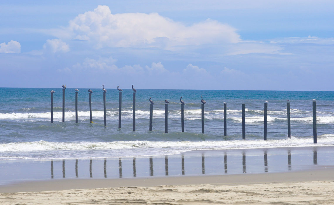 OBX Beach