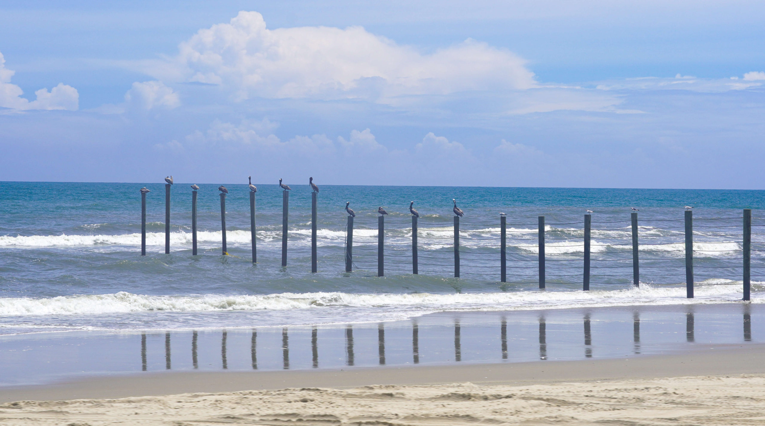 The Ultimate Guide to a Fun-Filled Family Getaway to the Outer Banks