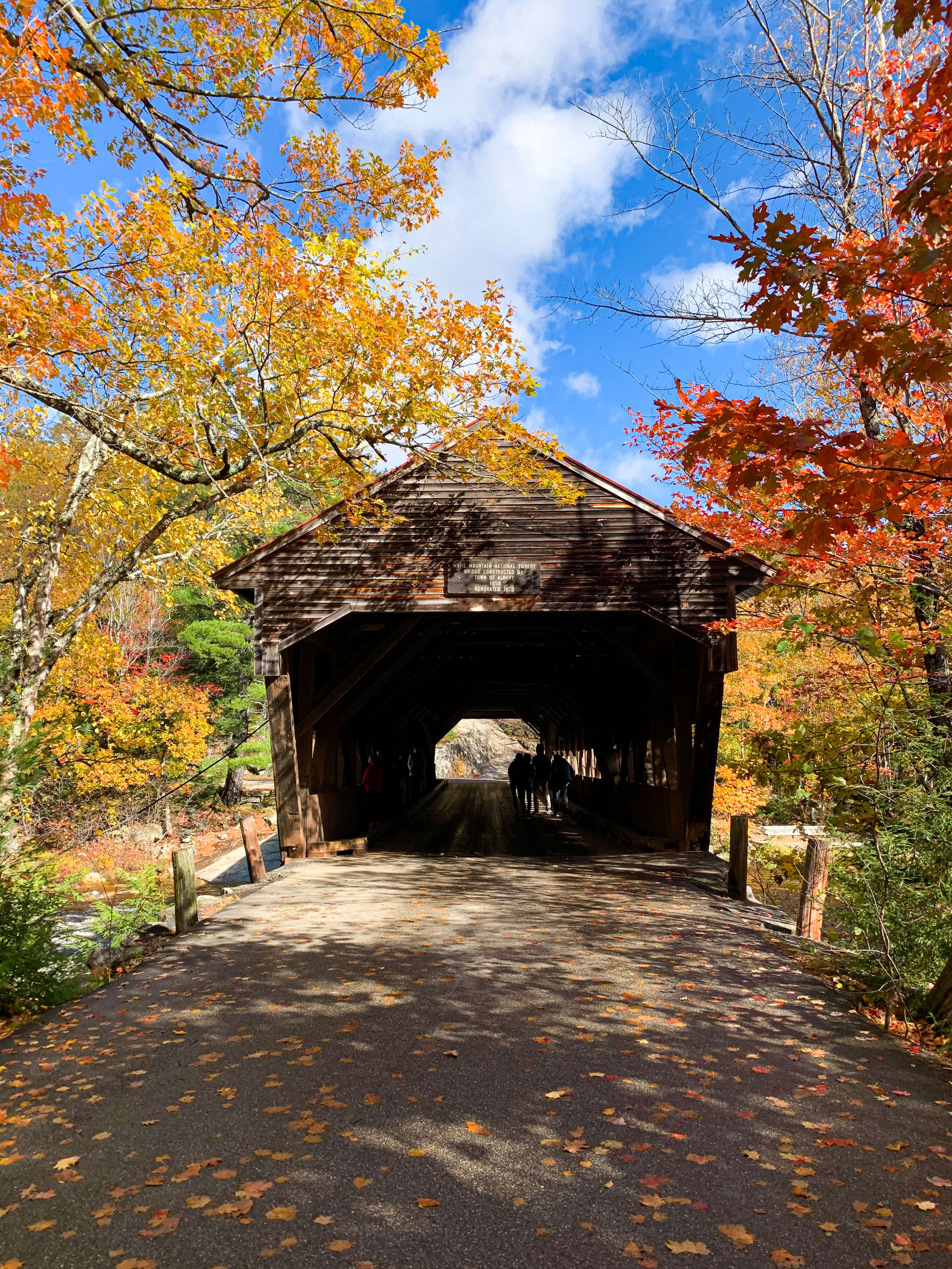 Albany Covered Bridge