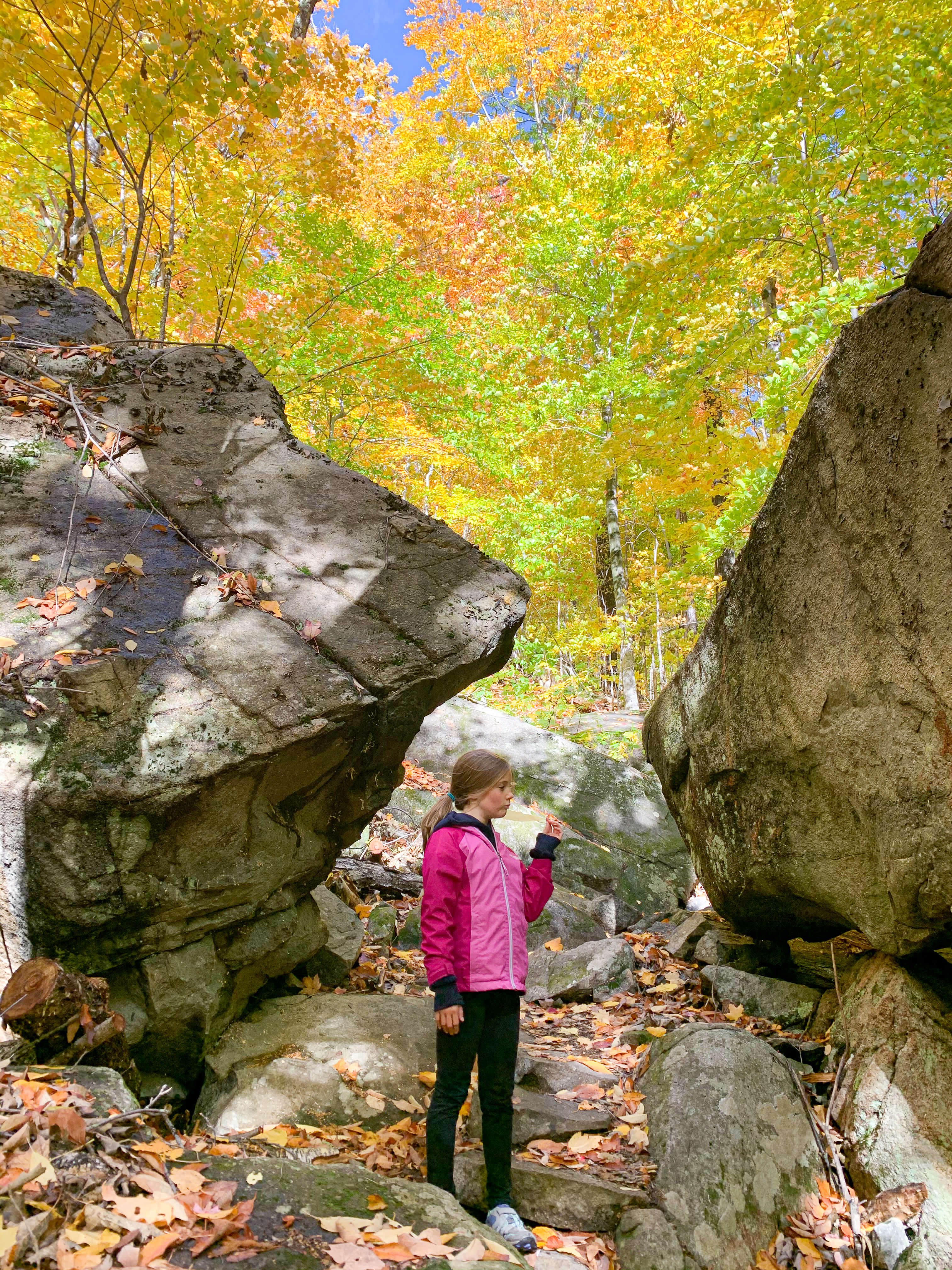 The Boulder Loop Trail