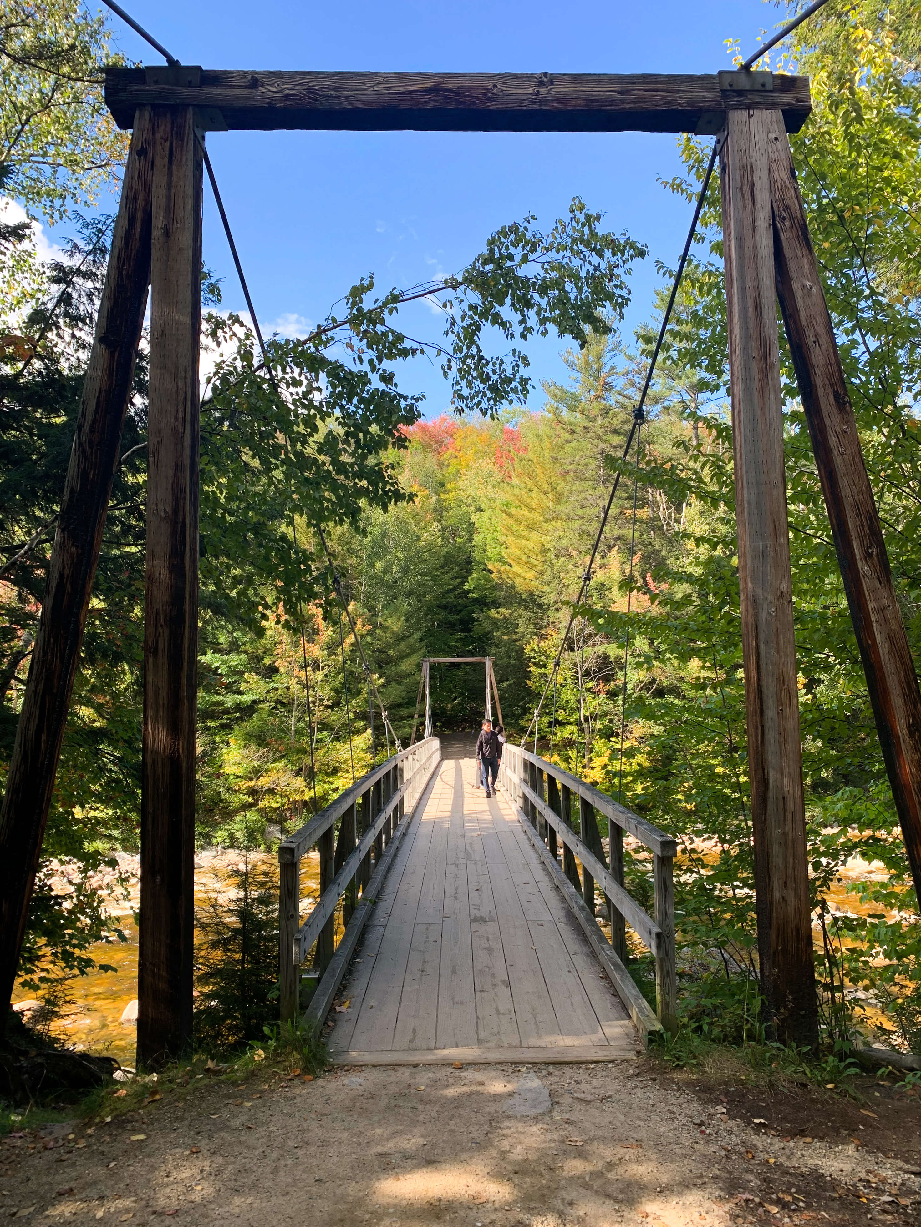 Bridge in Lincoln Woods