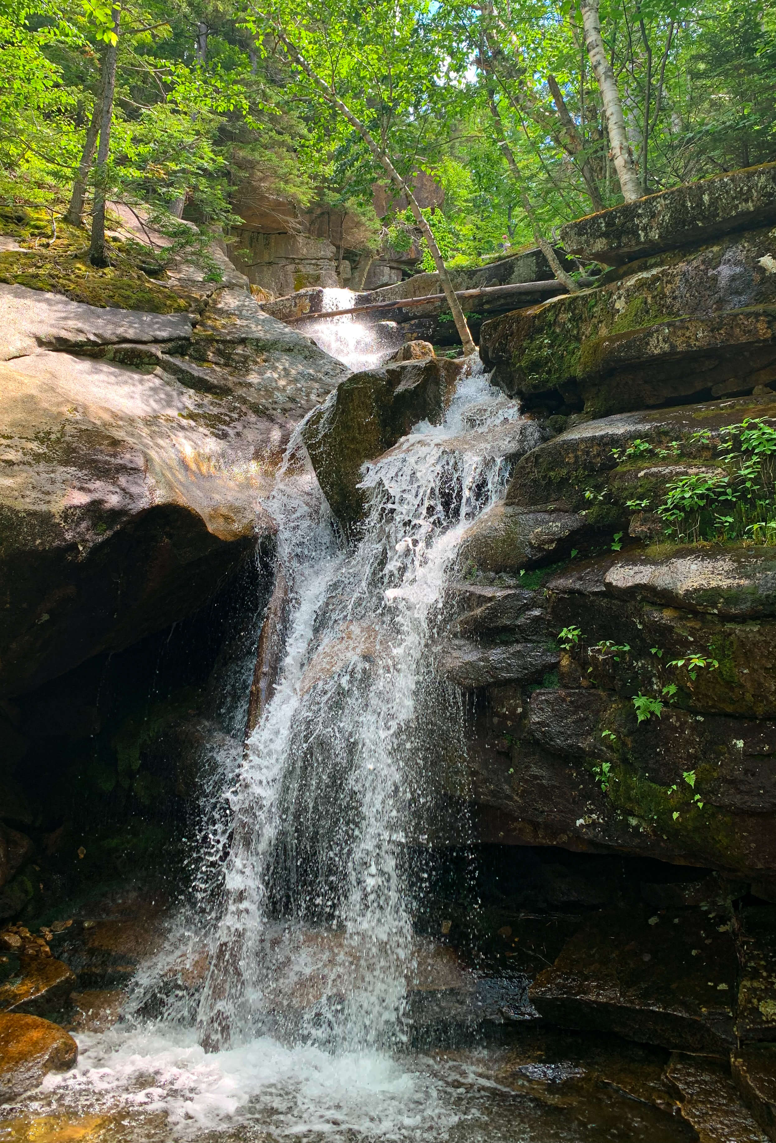 Champney Falls